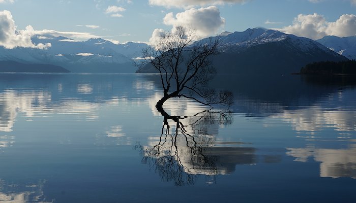 Read NZ: Wanaka and Beyond by Tim & Hayley