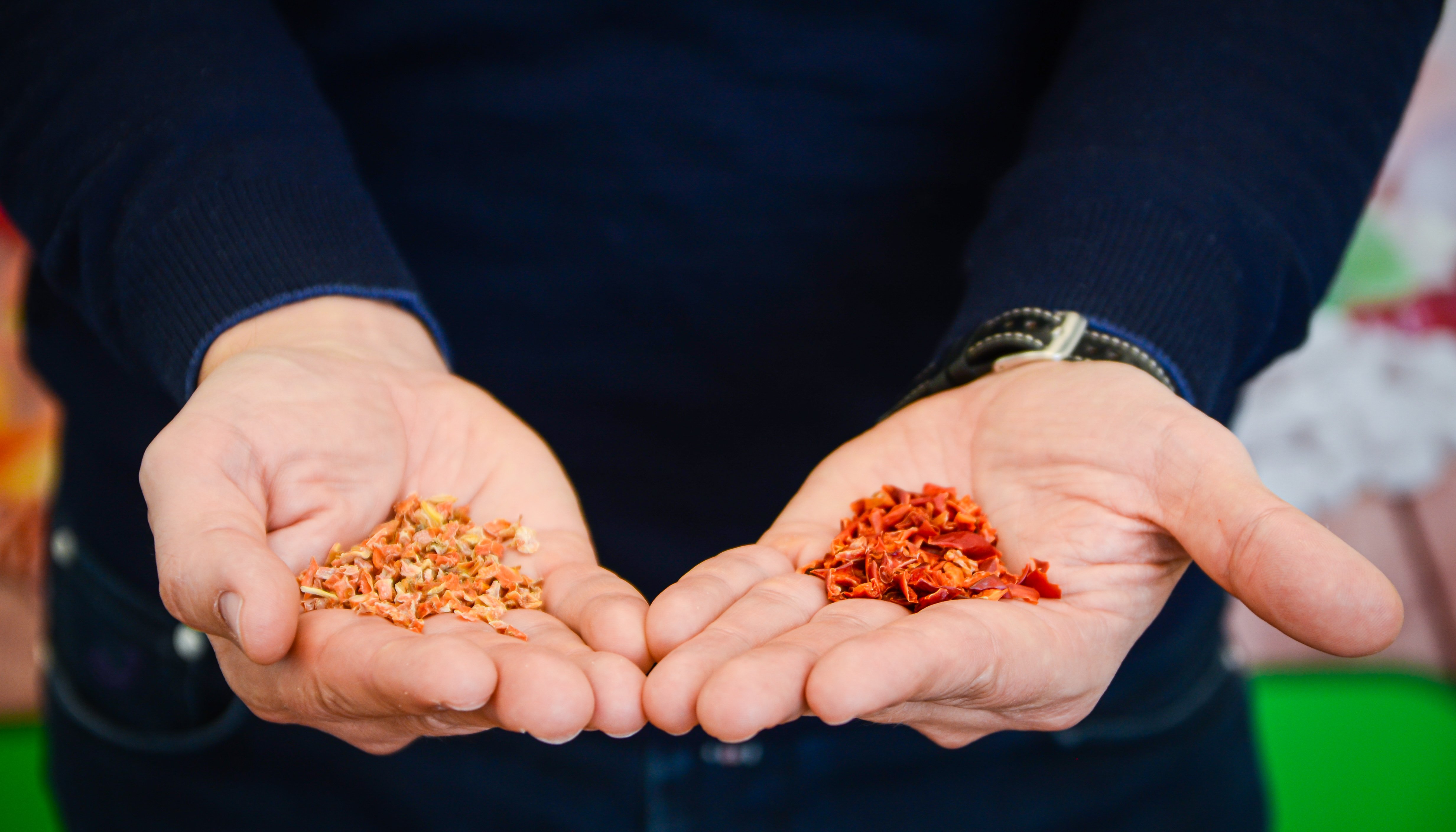 Read НОВЫЕ РЫНКИ ДЛЯ ЭКСПОРТА ОВОЩЕЙ ИЗ КЫРГЫЗСТАНА by USAID in Kyrgyz Republic