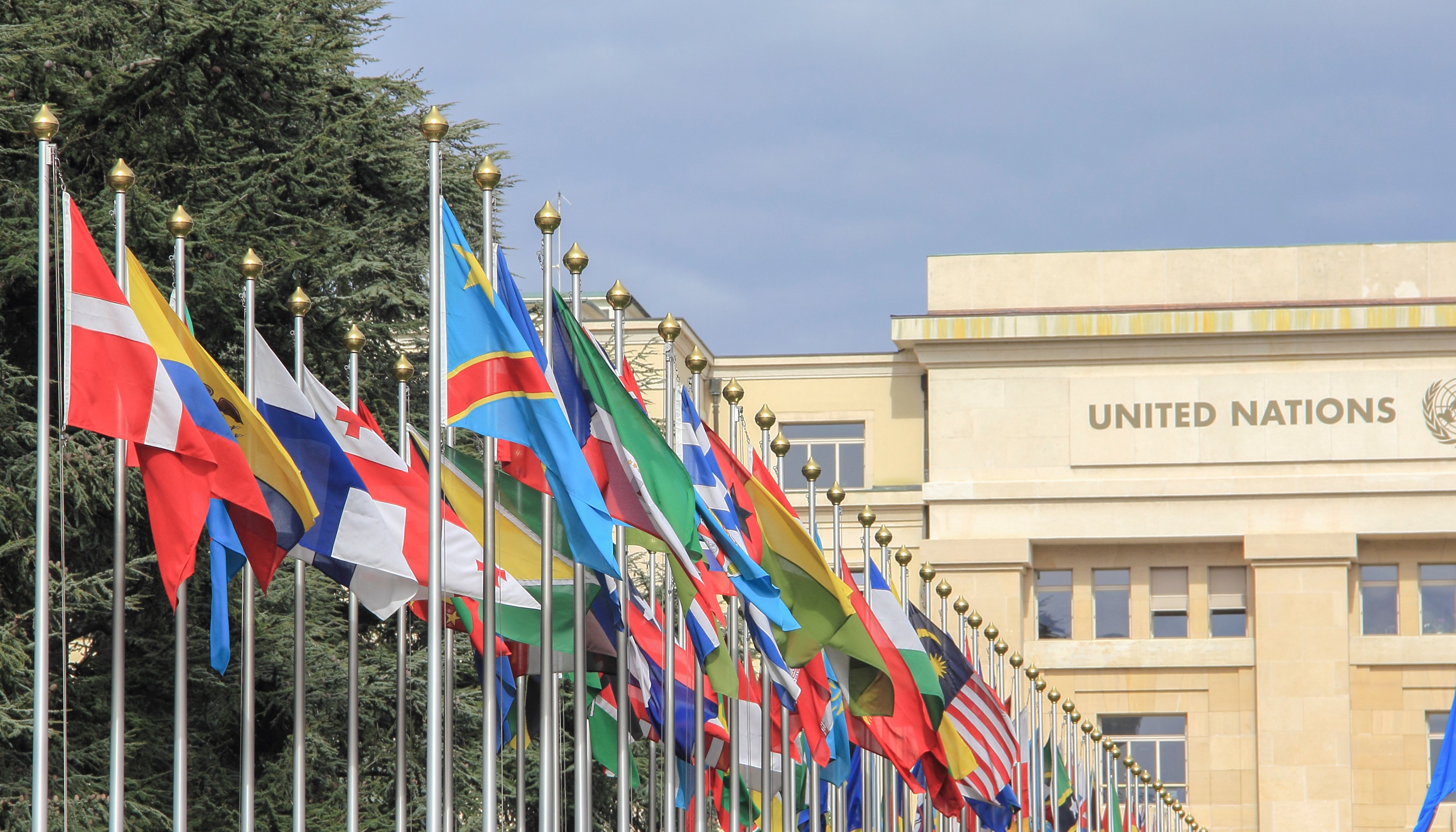 Read The value of cooperation in a fractured world by United Nations Development Programme