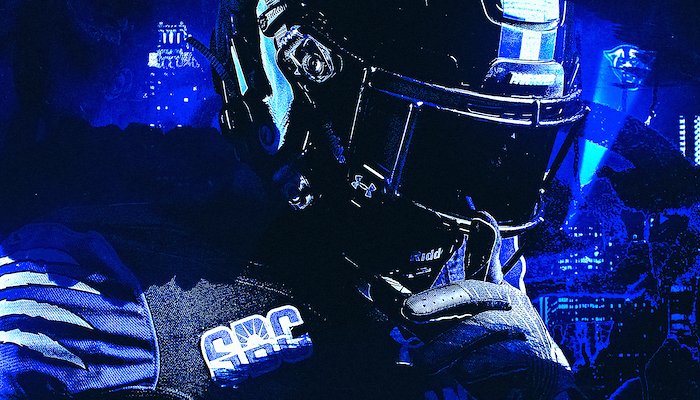 Read 2025 FOOTBALL SEASON TICKET INFORMATION by Tyler Iverson