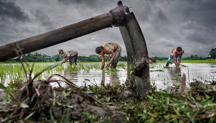 Read 2015 CGAP Photo Contest: Winners and Finalists by CGAP