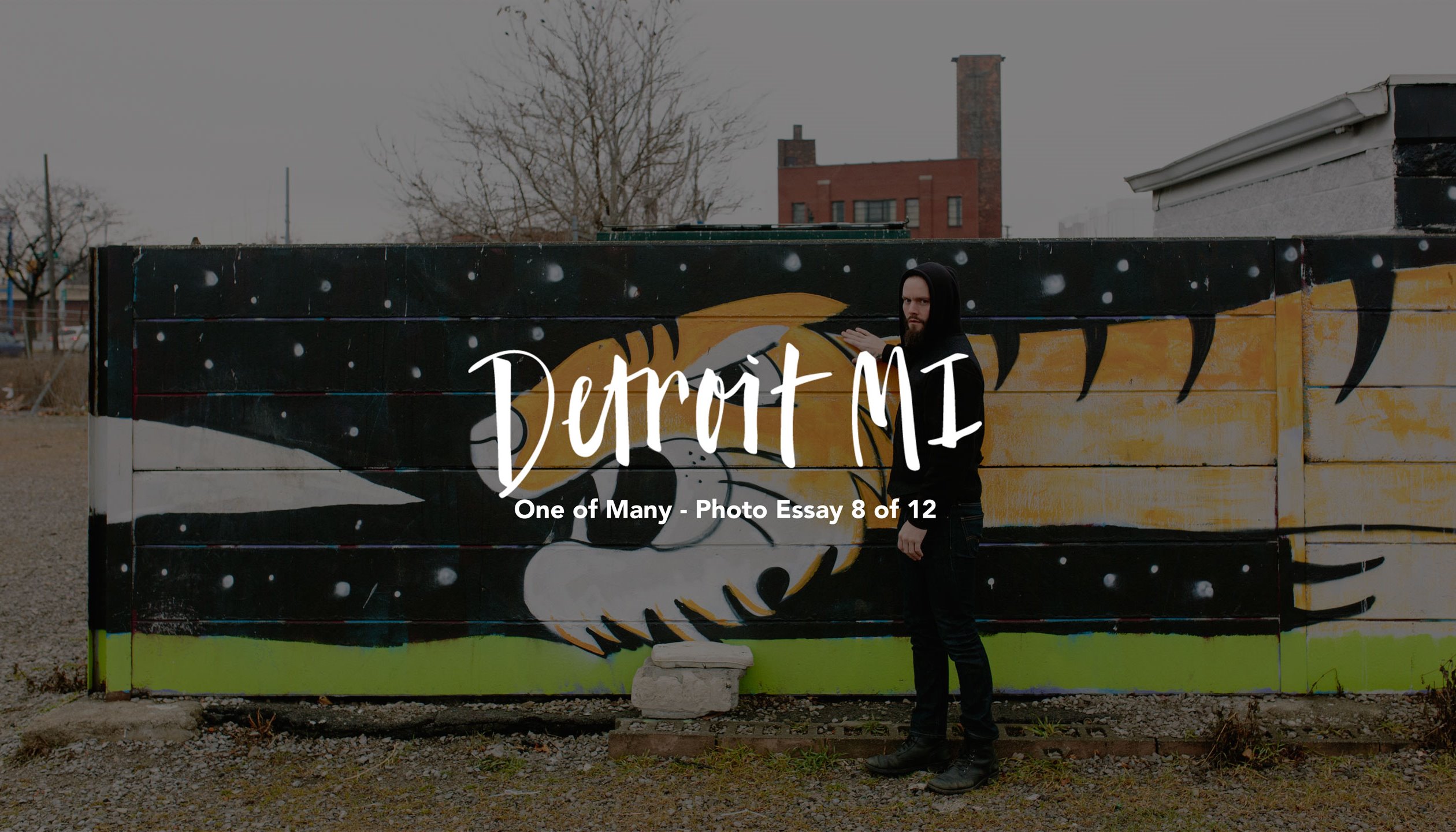 Read Detroit, MI by Wesley Verhoeve