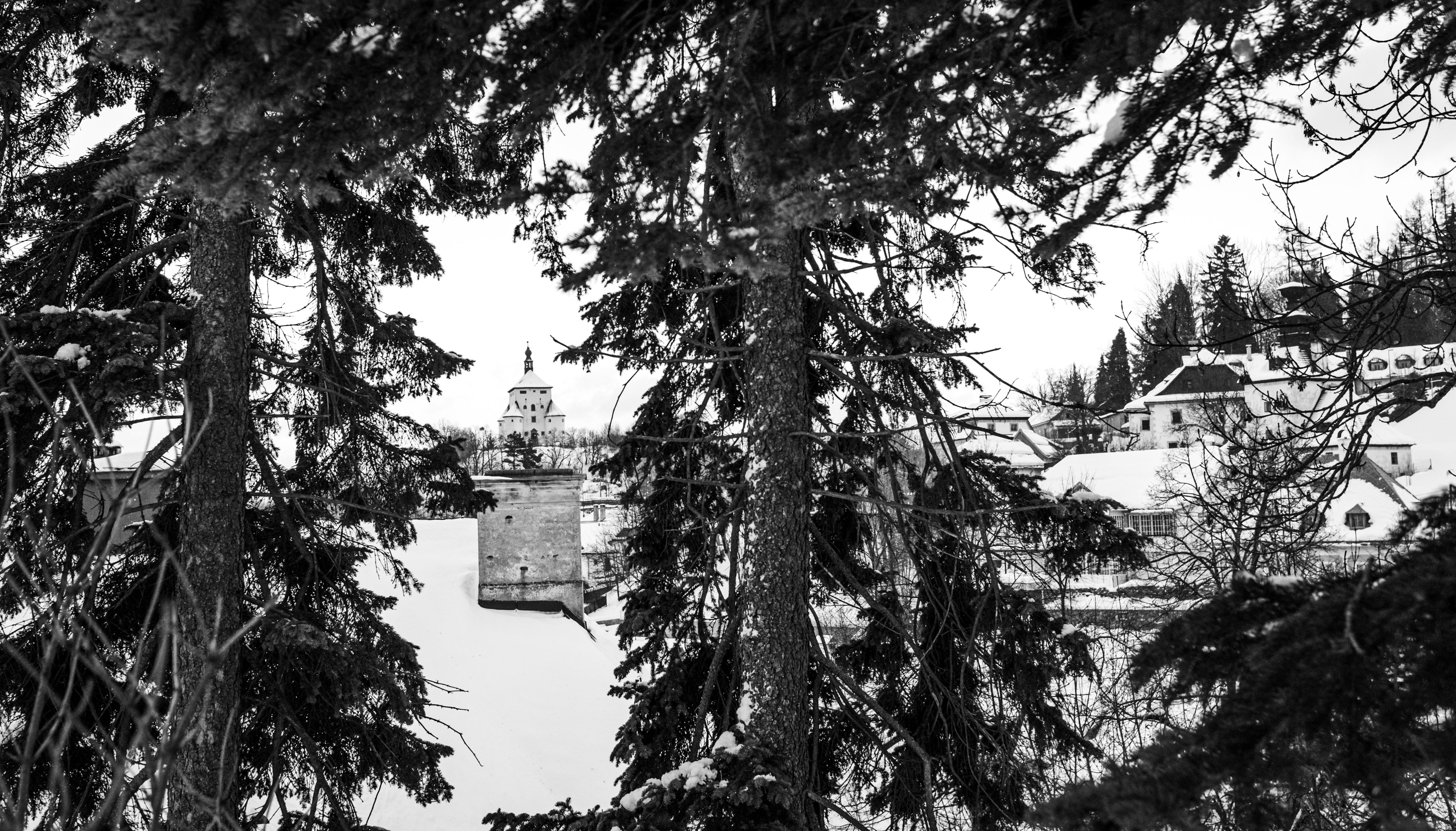 Read Winter Wonderland by Michal HA