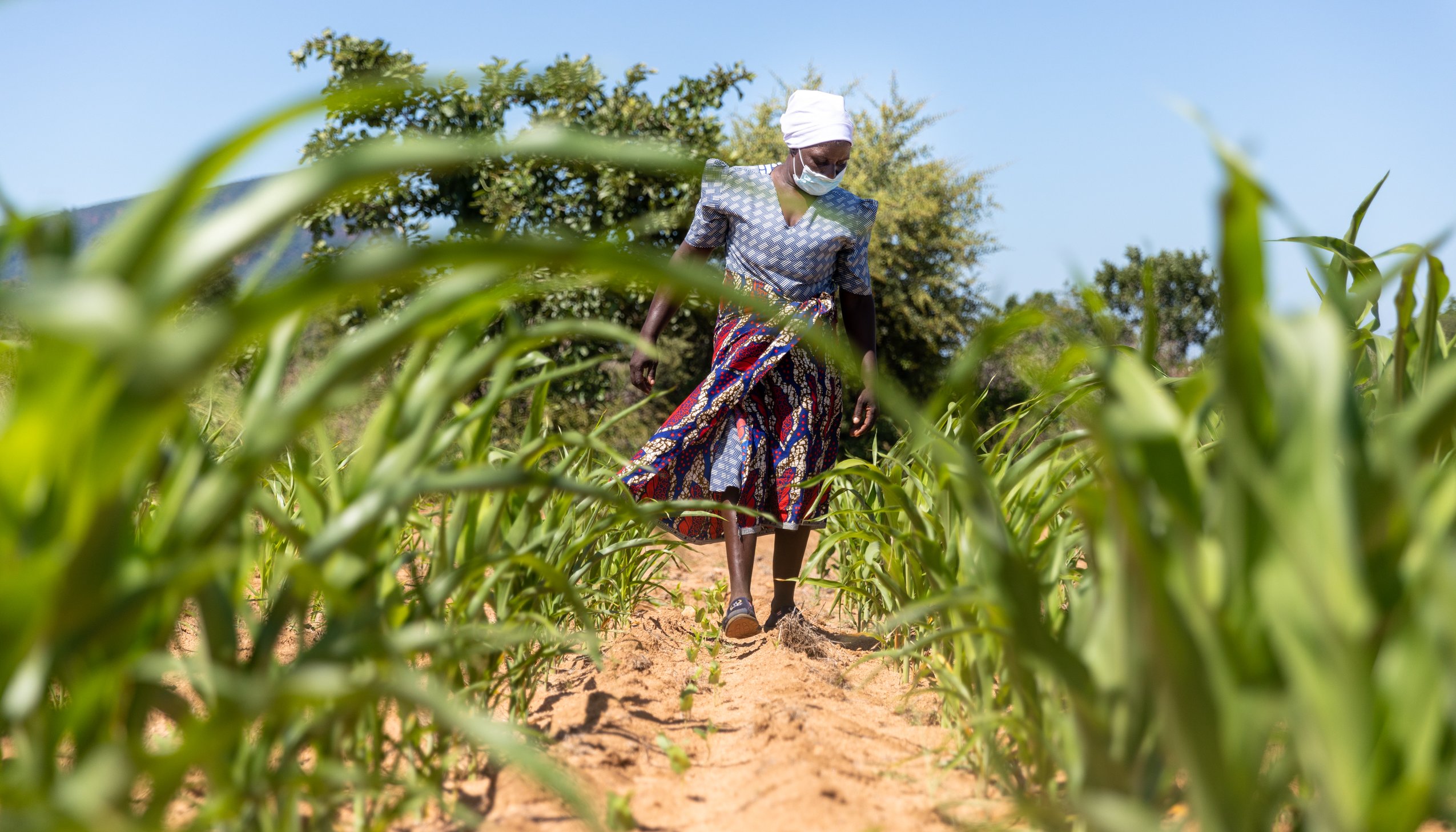 Read Climate-smart for the future &nbsp; &nbsp; &nbsp; &nbsp; &nbsp; &nbsp; by Climate UNDP
