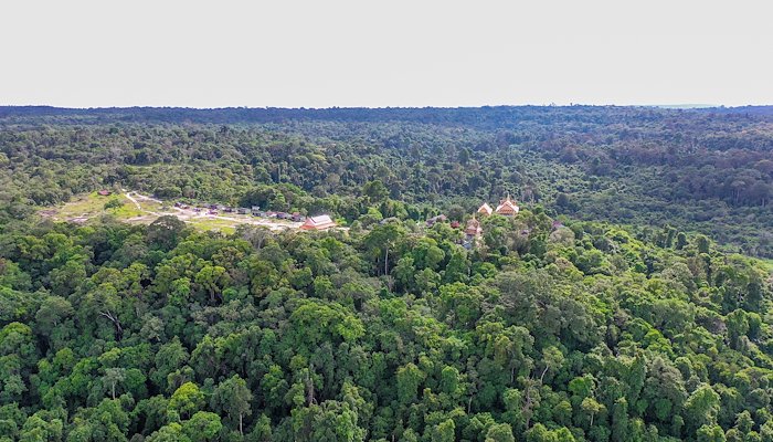 Read A Healthy Forest Ensures a Healthy Community by Chakrey Un