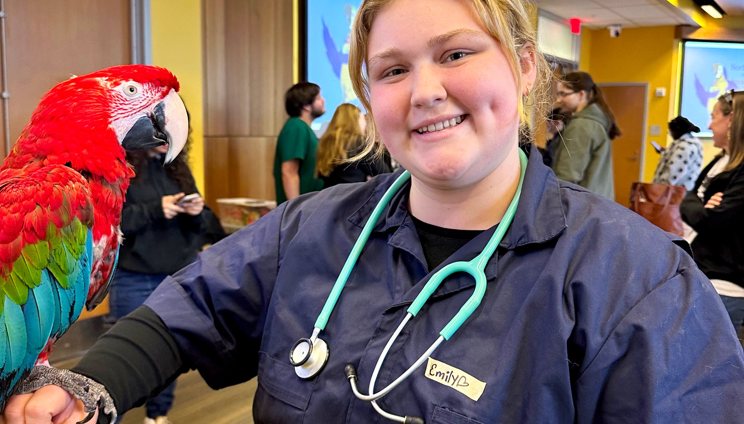 Read Caring for Pet Birds by SUNY Delhi