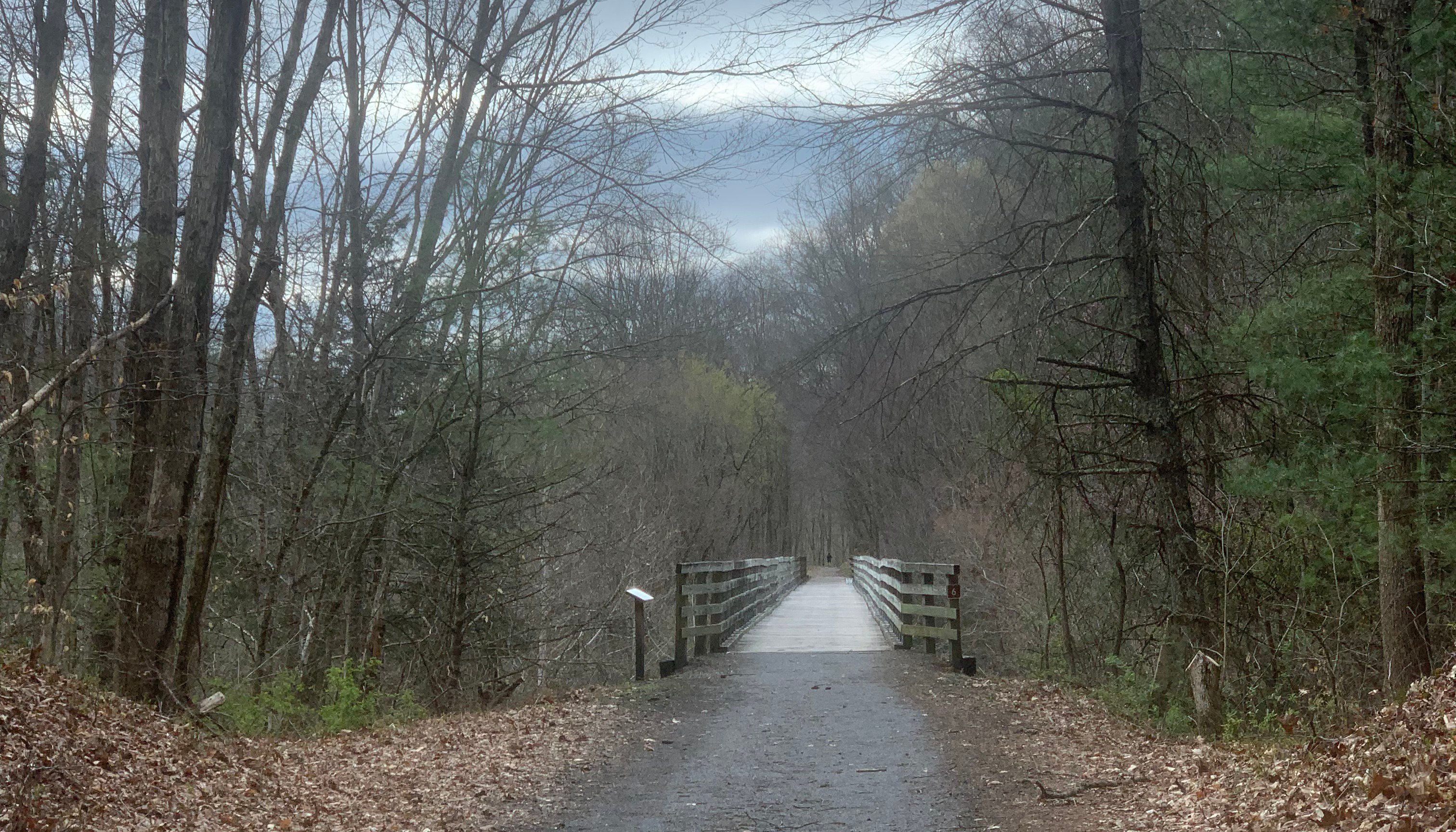 Read Virginia Creeper Trail Marathon by Brian Cary