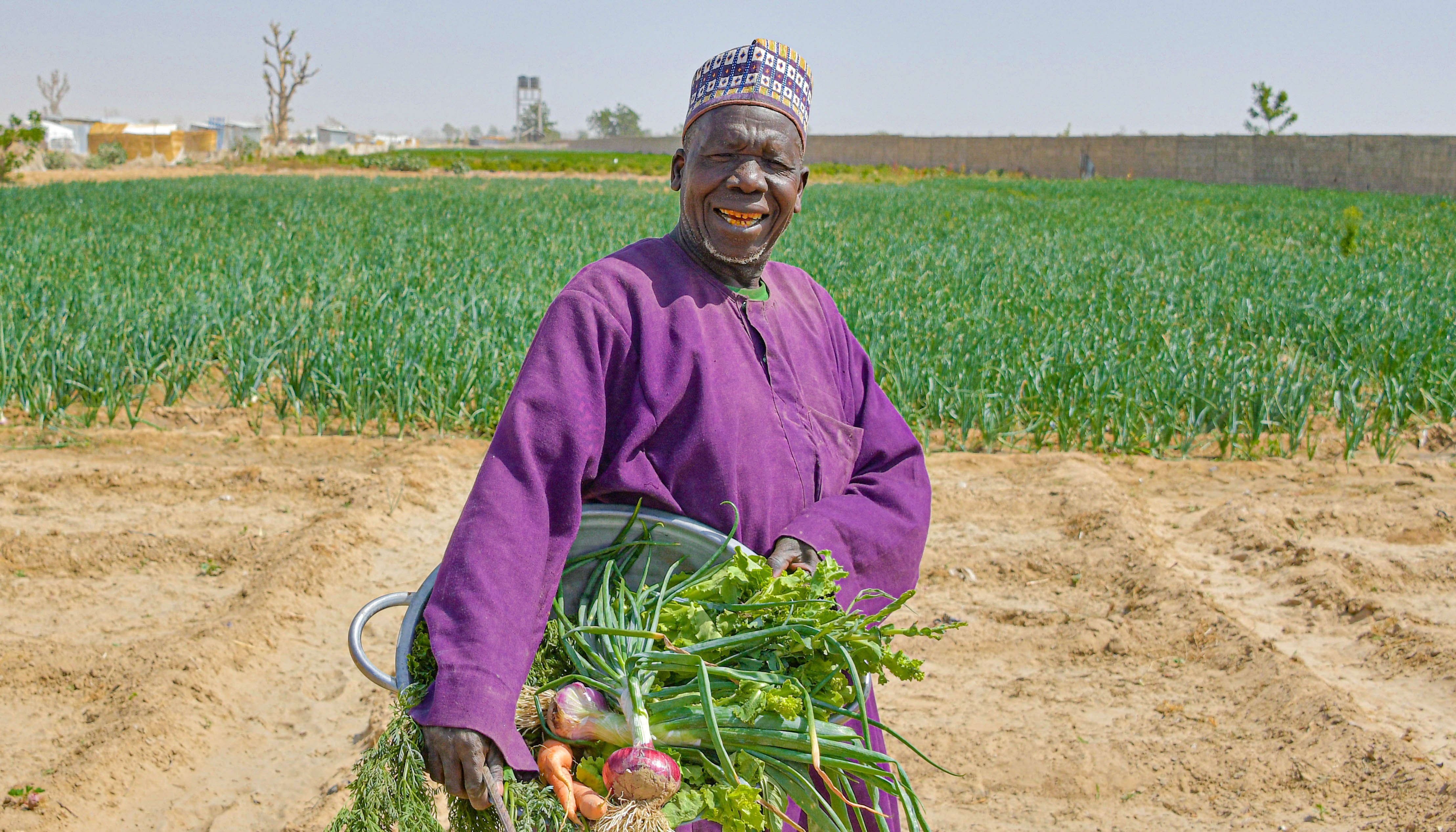 Read Enhancing local food production to improve livelihoods and food security. by UNDP NIGERIA