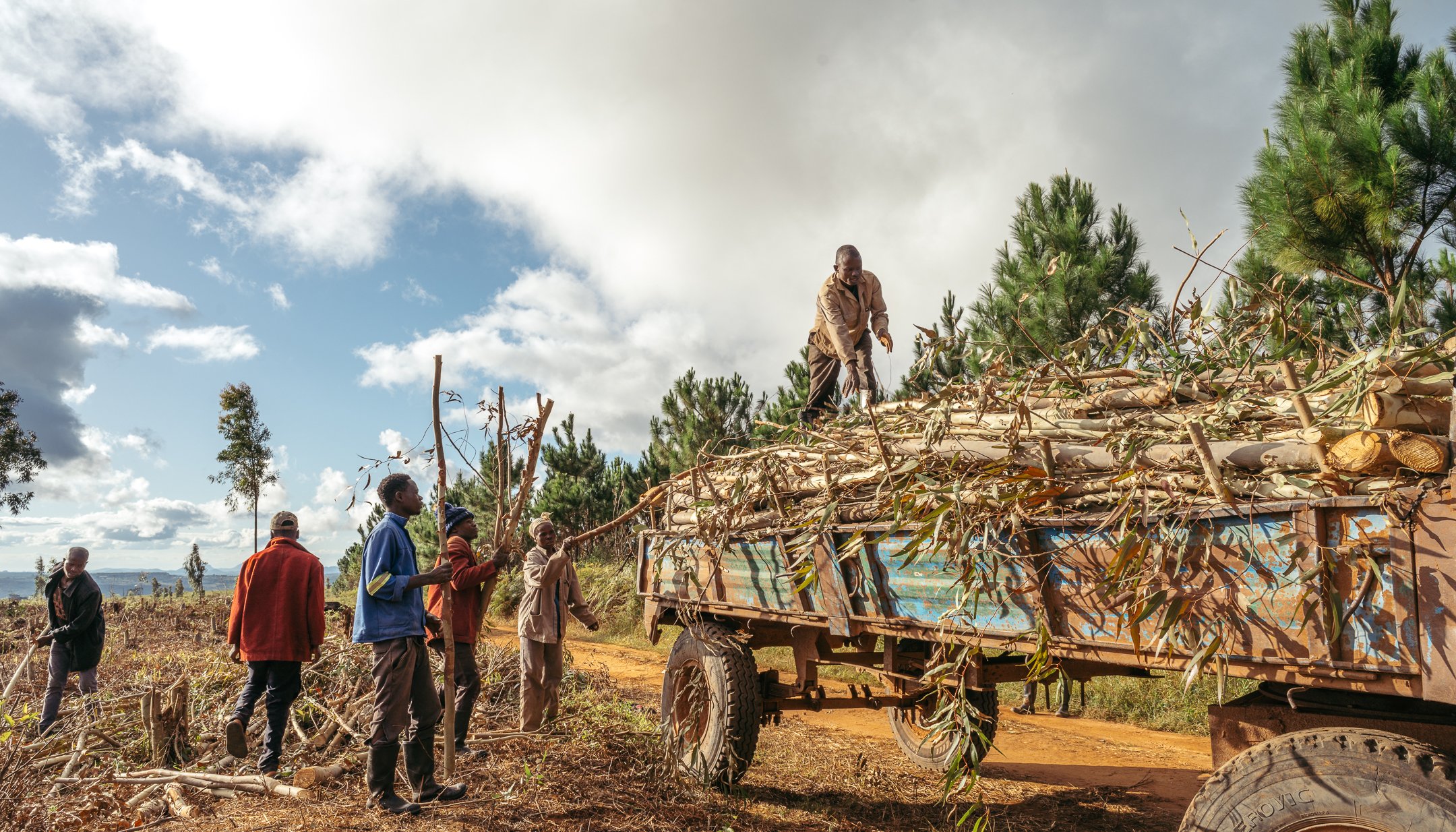 Read Investing in Our Planet by Tetra Tech International Development