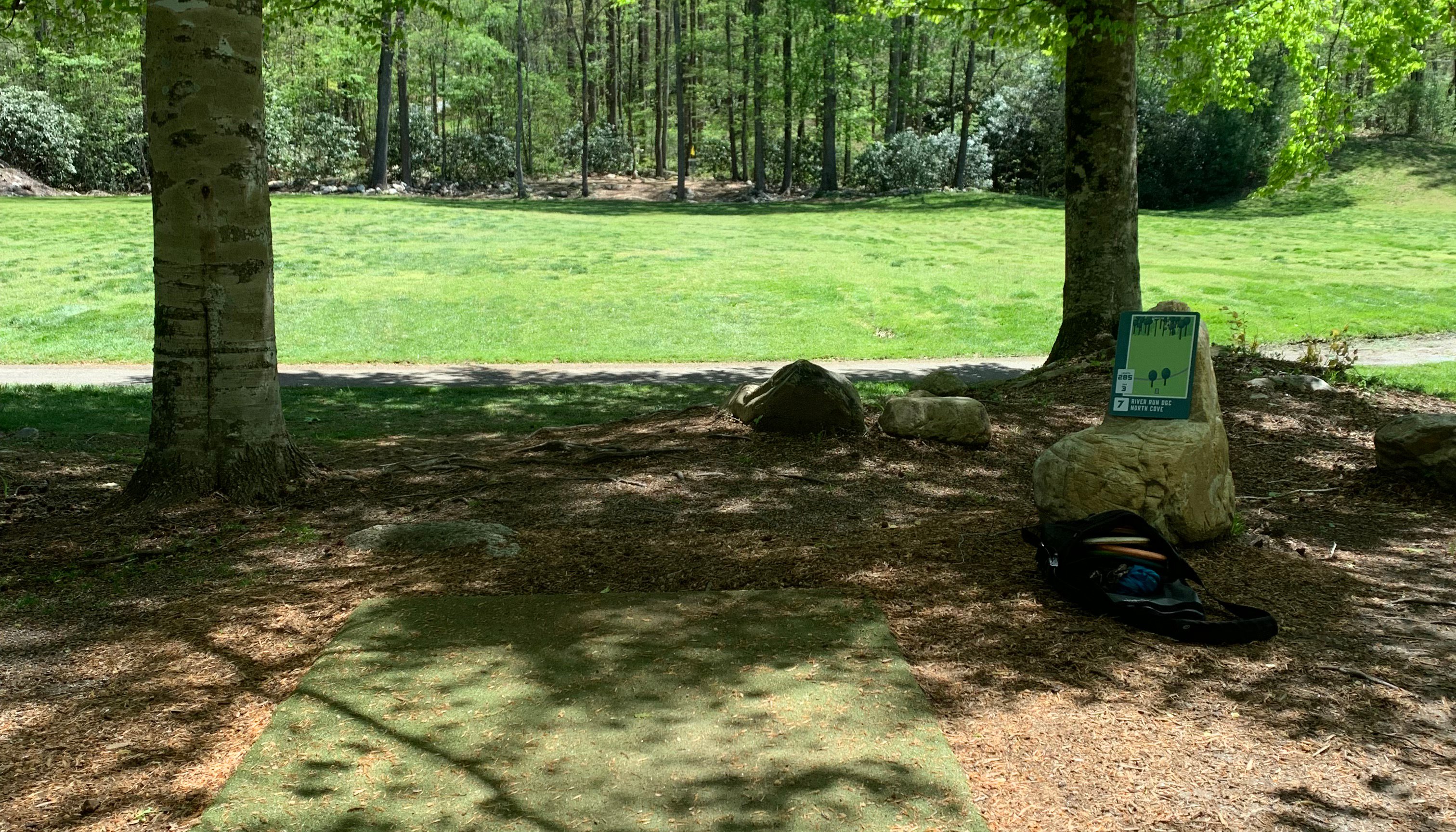 Read Disc Golf at North Cove by Brian Cary