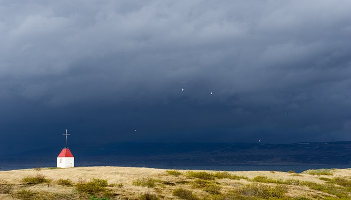 Read ICELAND by Alex Hyyti