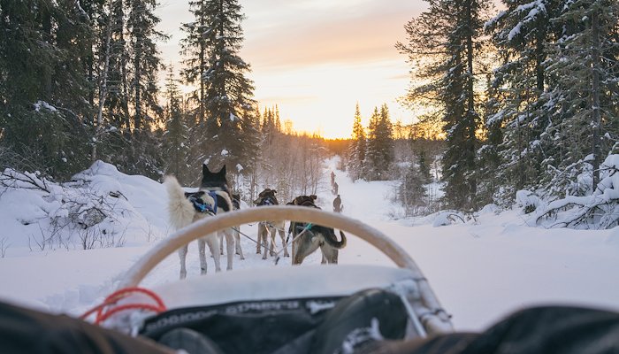 Read Lapland, Sweden by Jochen Vander Eecken