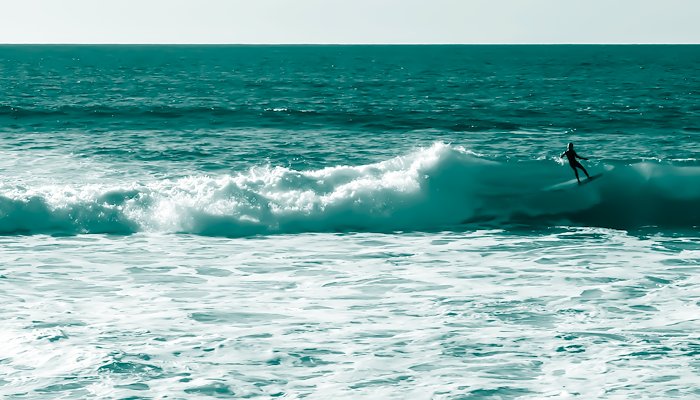 Read Windansea Surfers by Bryan McCormick