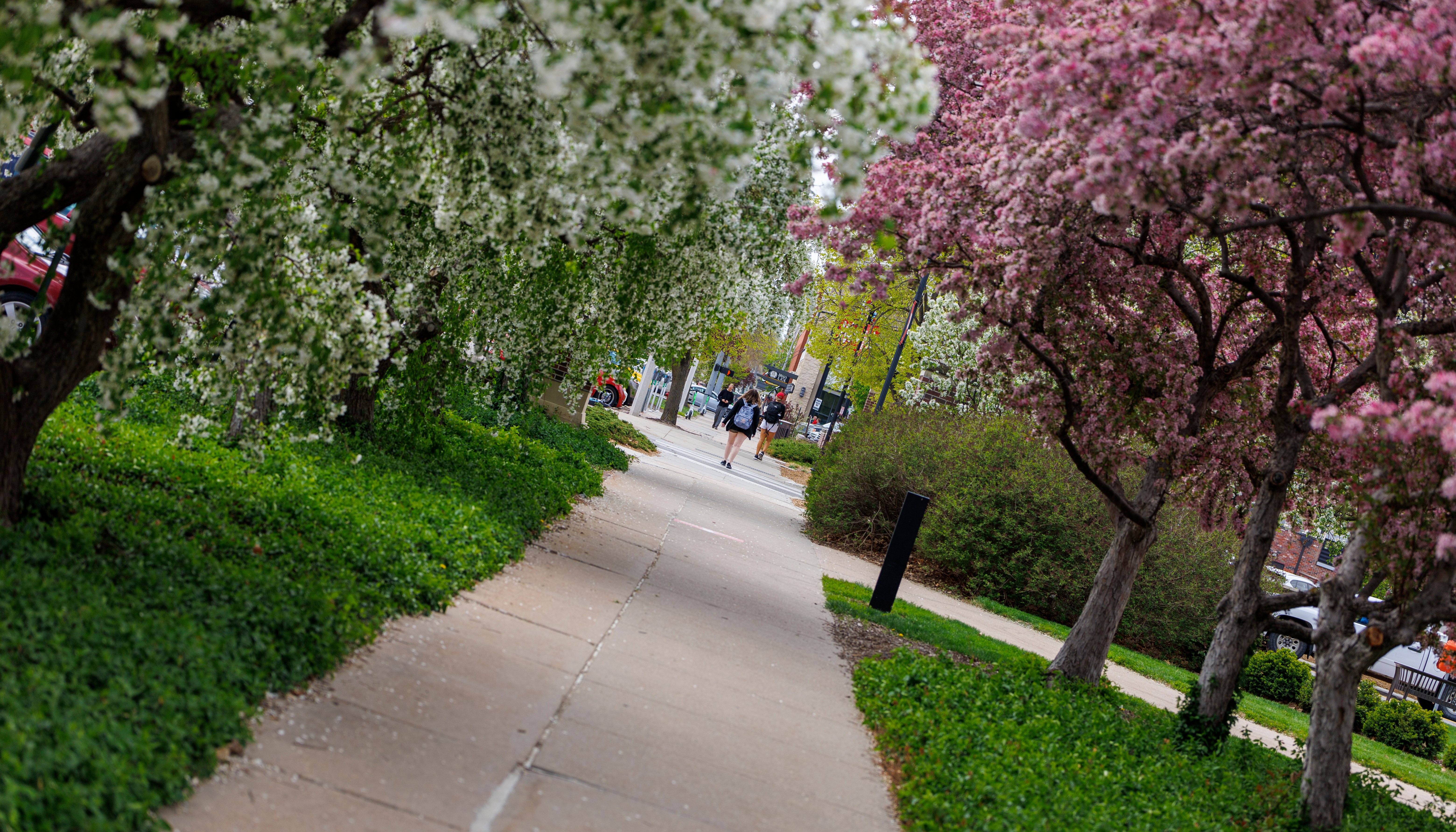 Read Memories in bloom by UNL Student Affairs