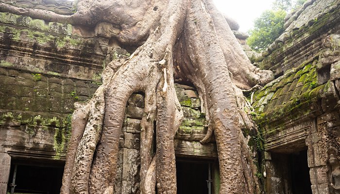 Read 051.&nbsp;Ta Prohm by Ryan Harrison