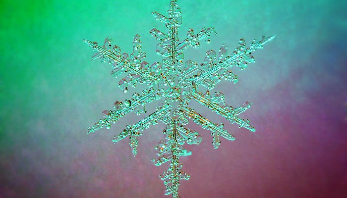 Read Snowflakes by Peter Scott Barta