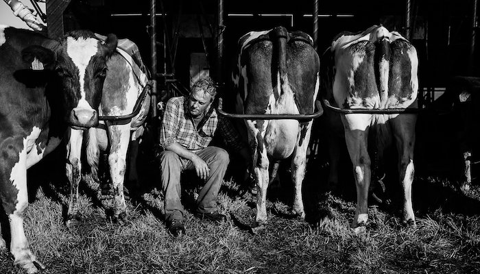 Read Erwin, the milk producer. by Sébastien Nunes