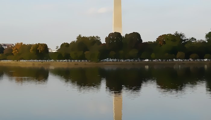 Read The Washington Monument by Kim Bridges
