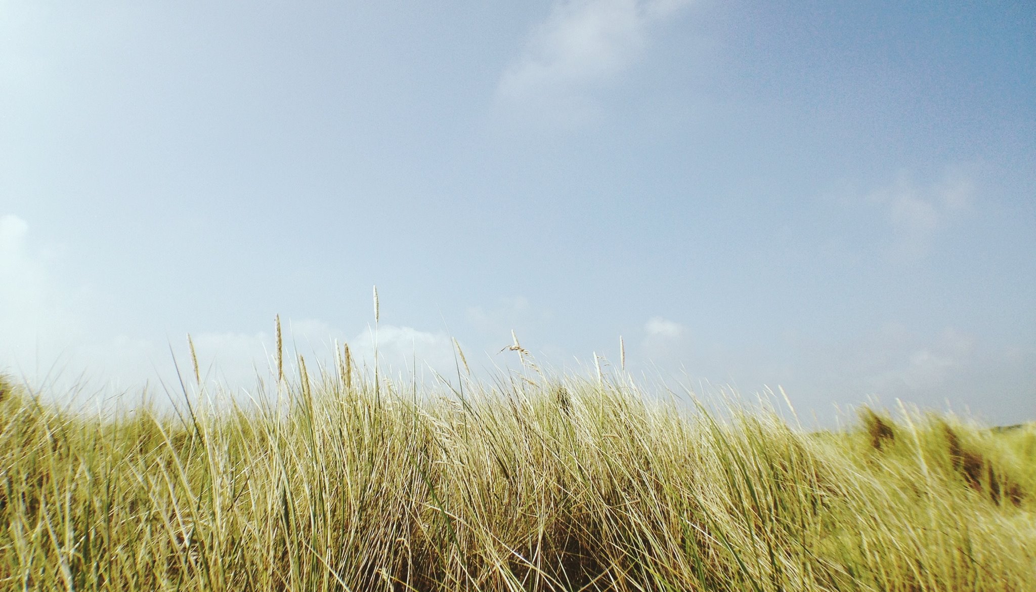 Read VSCO cam by Rupert Marlow