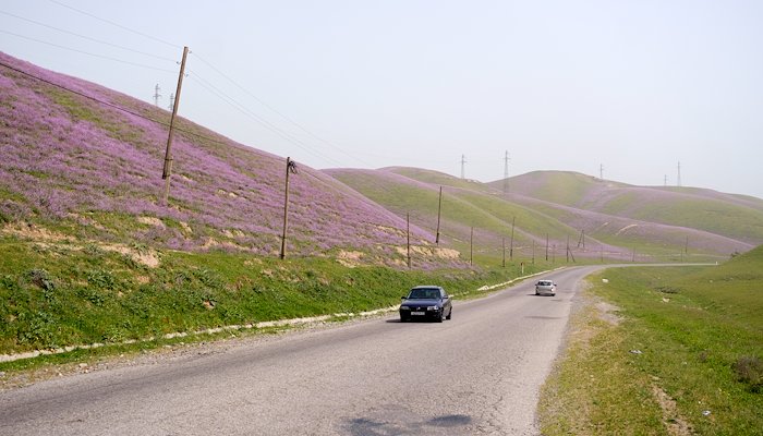 Read Improving Livelihoods in Tajikistan through Better Roads by Asian Development Bank