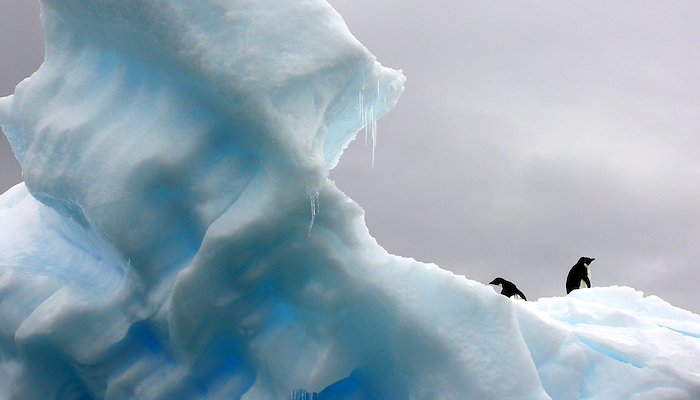 Read Climate Change and Penguins by The Climate Vulnerable Forum