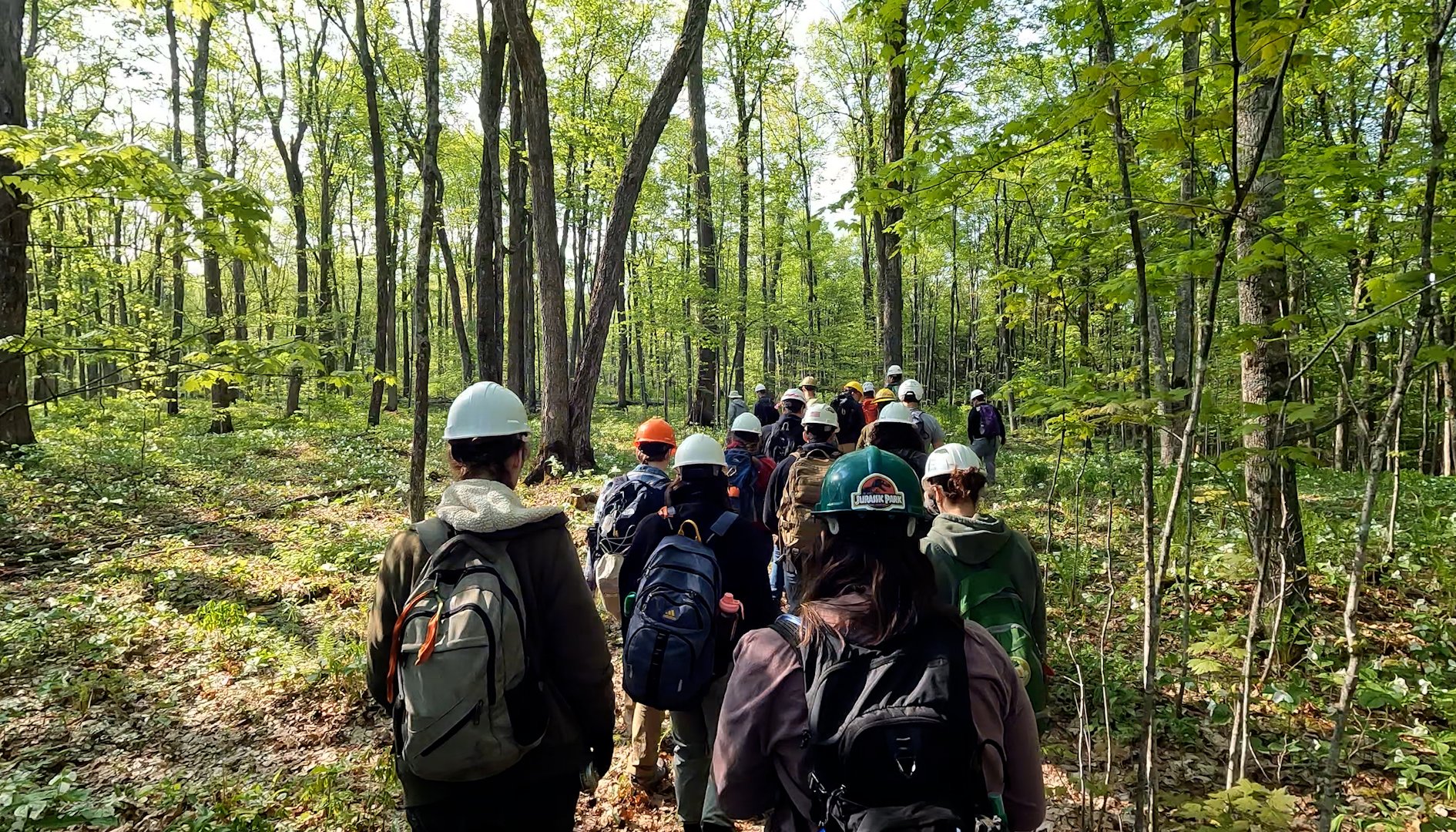 Read Summer practicum turns woods, water and wetlands into classrooms by Purdue Agriculture