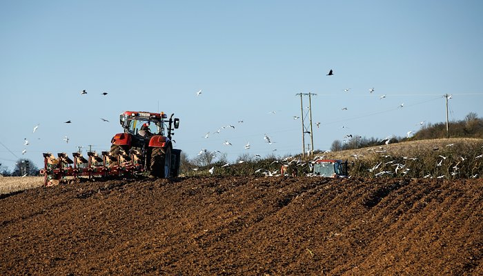 Read Winter ploughing by Farmers Journal