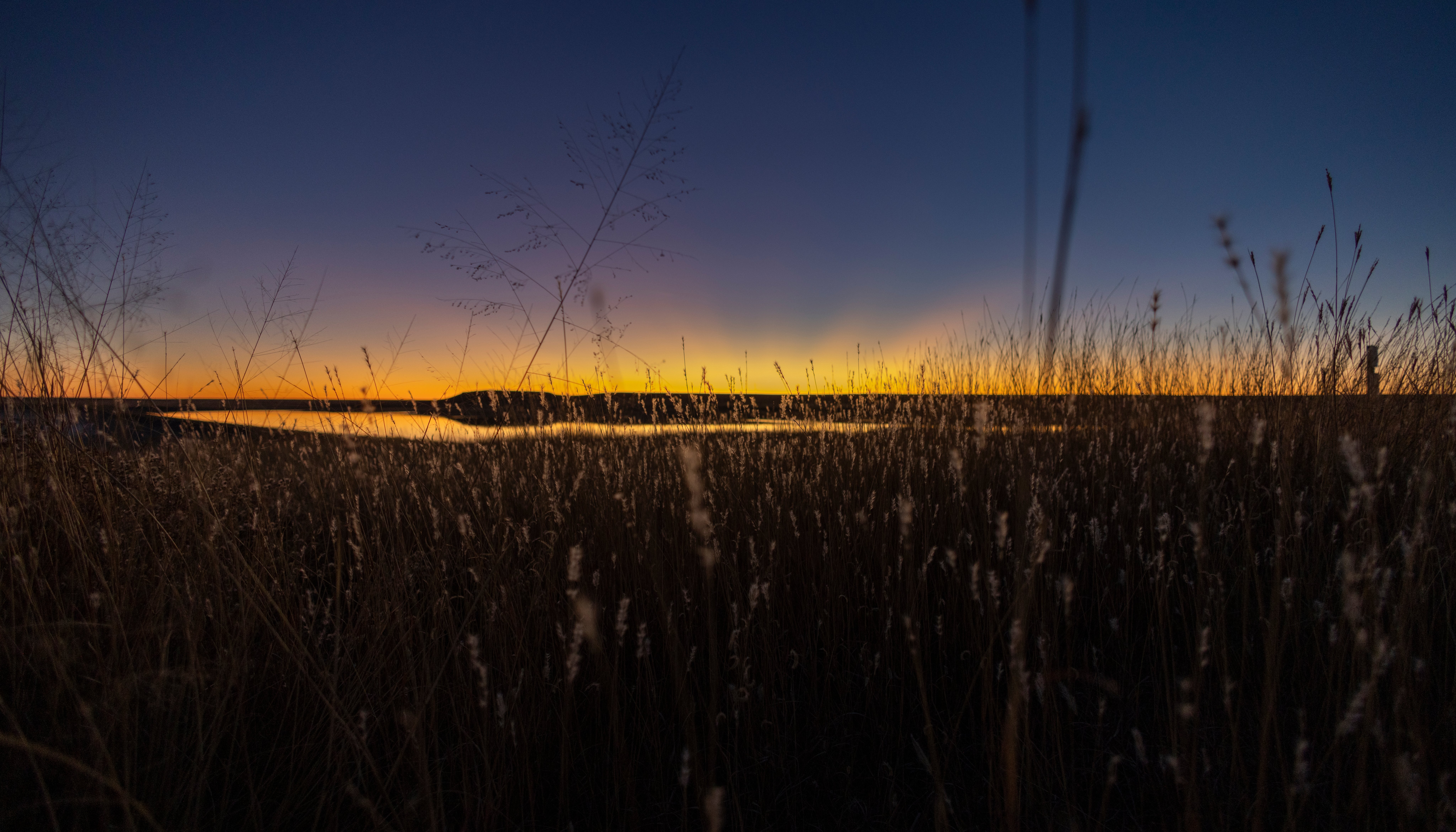 Read From Soil to Sky by Ashley Rodgers