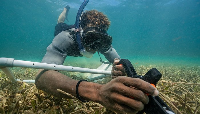 Read Seagrass Reserve Success by Blue Ventures