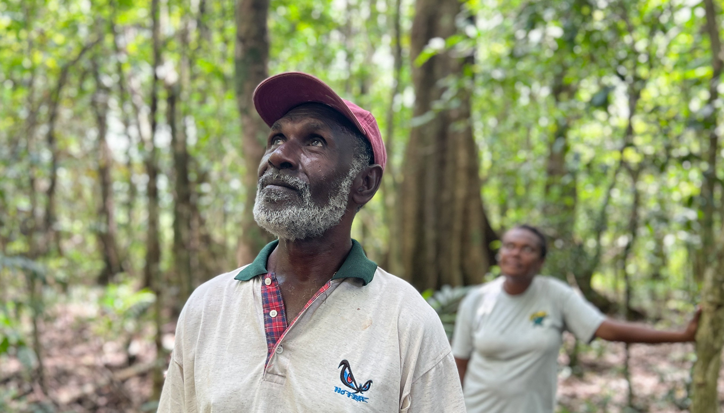 Read The good nature of carbon projects by Marian Reid