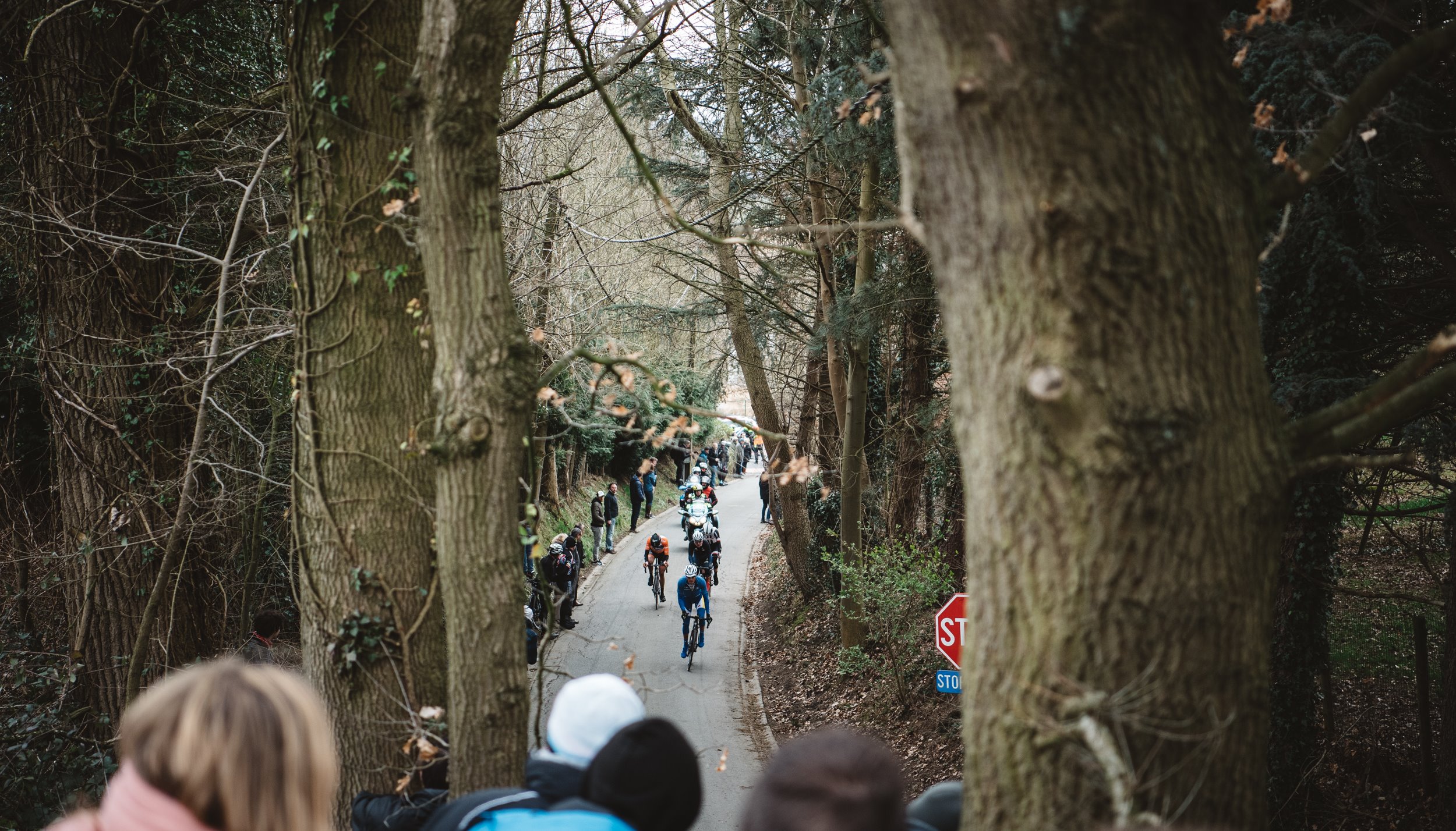 Read OMLOOP HET NIEUWSBLAD by Gruber Images
