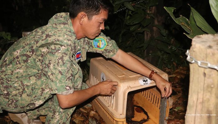 Read Law Enforcement Efforts Concluded in First Semester of 2023 in WWF’s supported protected areas in Cambodia by WWF Cambodia