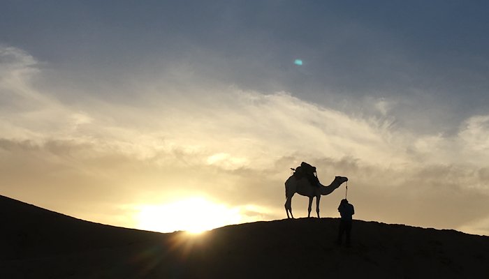 Read MUSICAL MEDICINE, MOROCCAN MARVELS by Saharan Susurrus