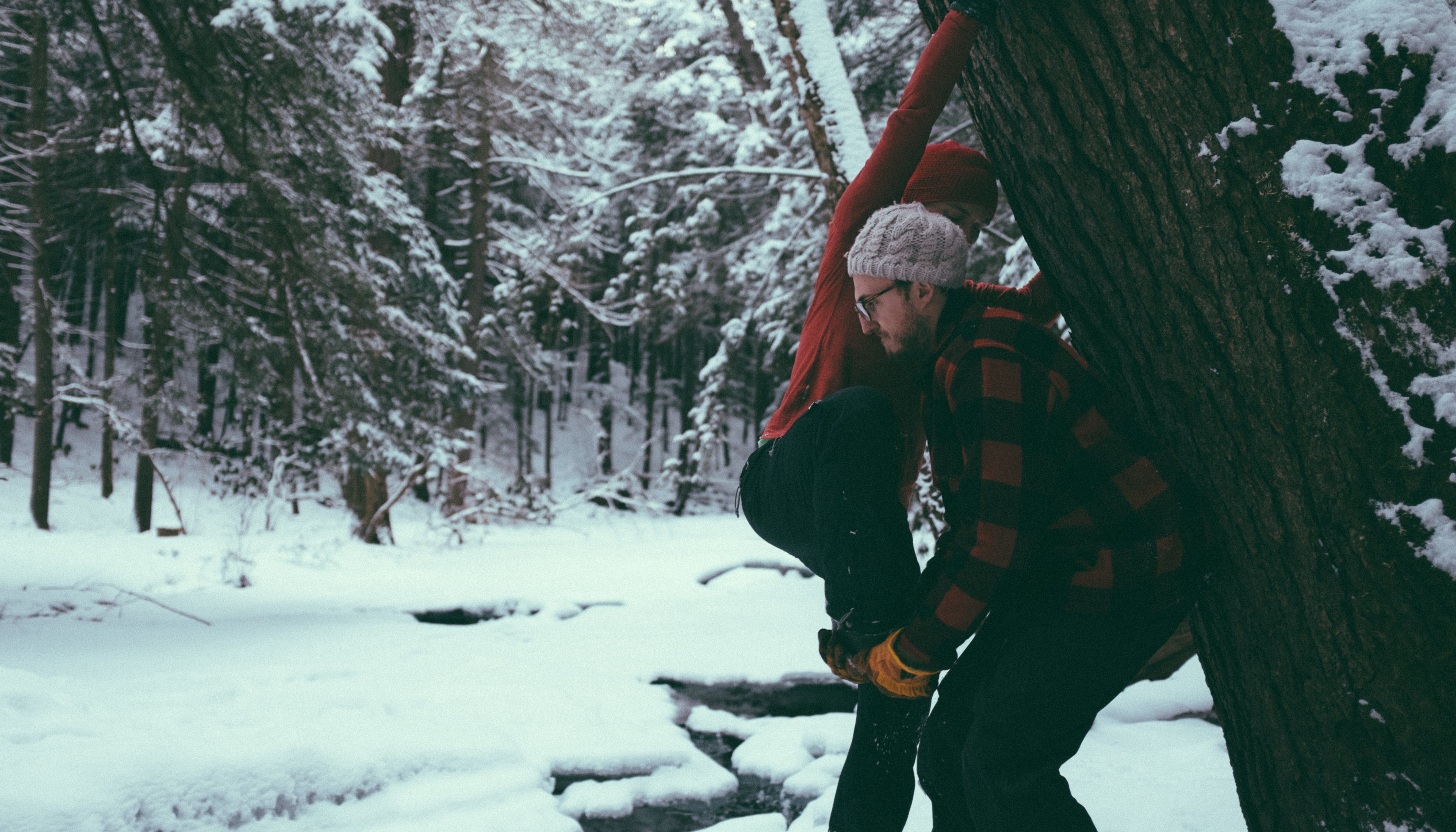Read How to Climb Into a Tree by Derek Reynolds