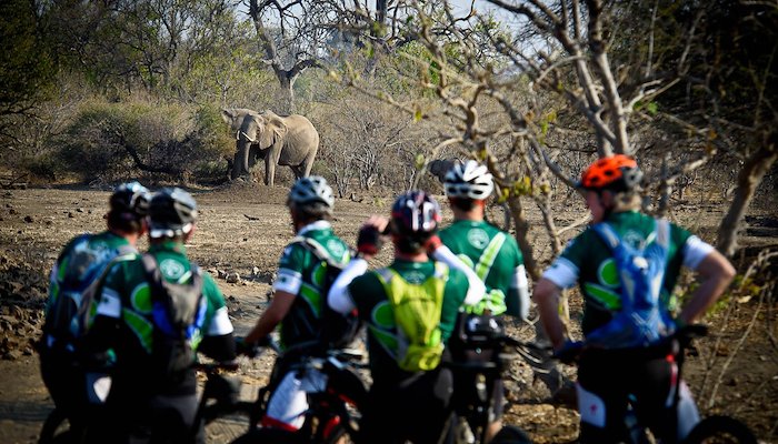 Read Riding around elephants by Different.org