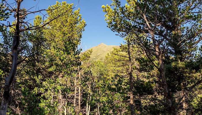Read Hiking Horn Peak by Chris Neilson
