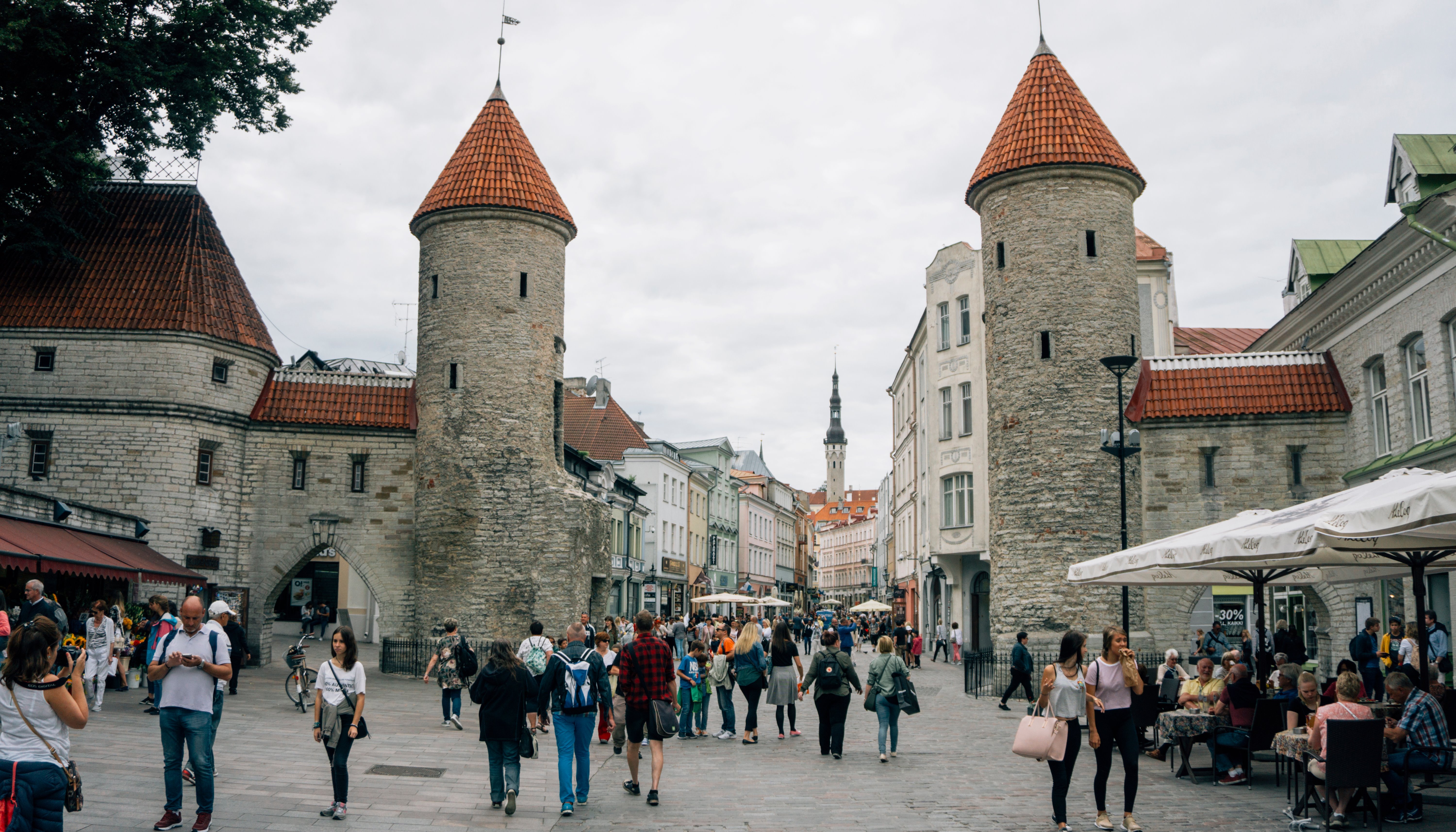 Read Estonia by Tracy Kennberg