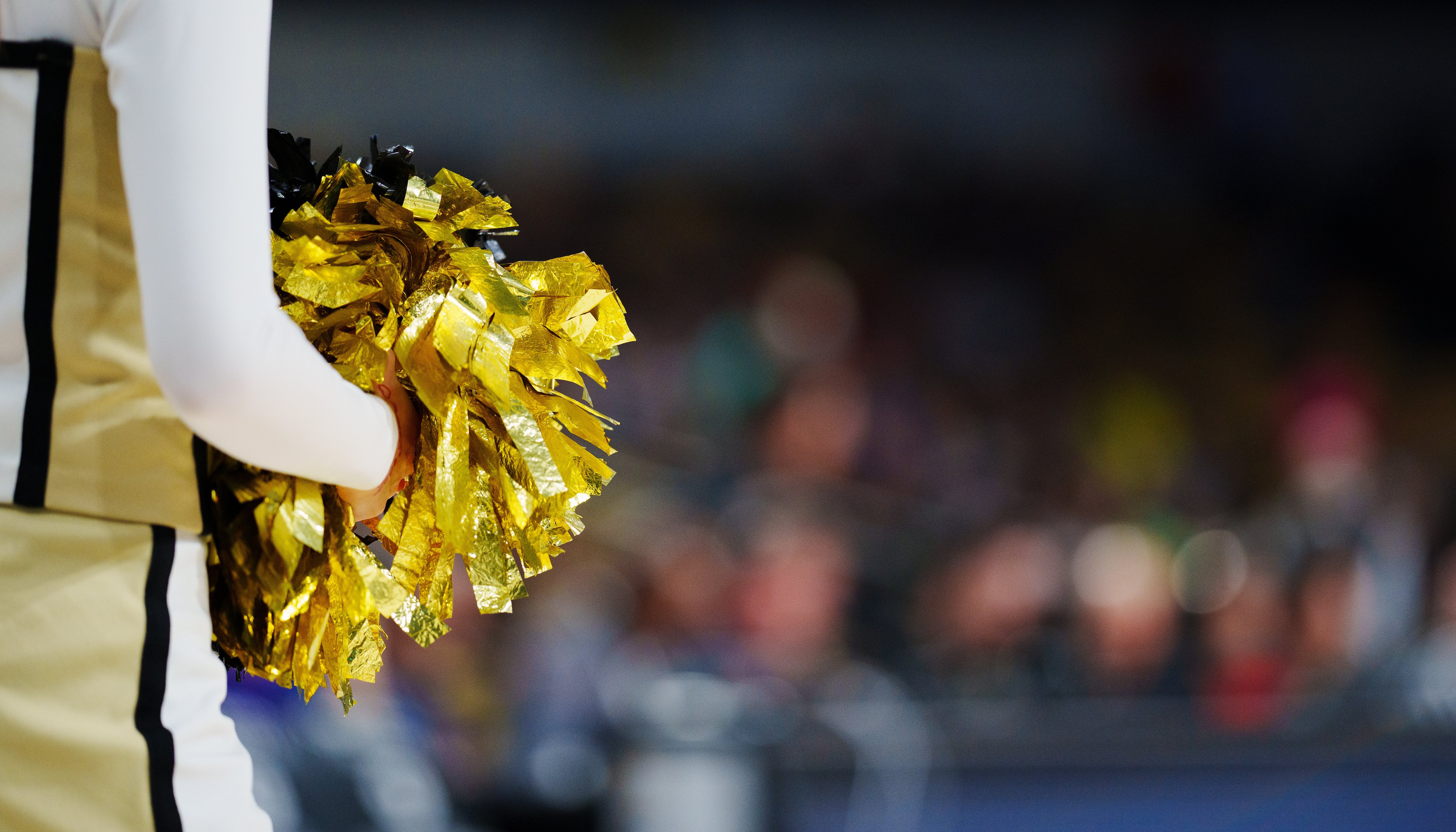 Read The Dynasty of UCF Cheer by UCF Knights