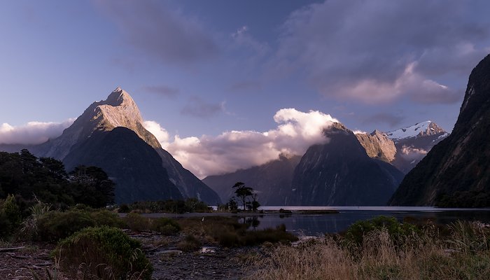 Read New Zealand by Jason Martin