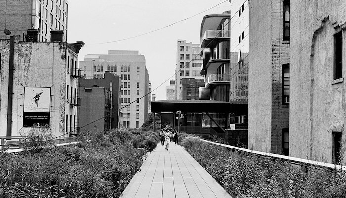 Read Adventures in Film: The High Line by Diana Rivera