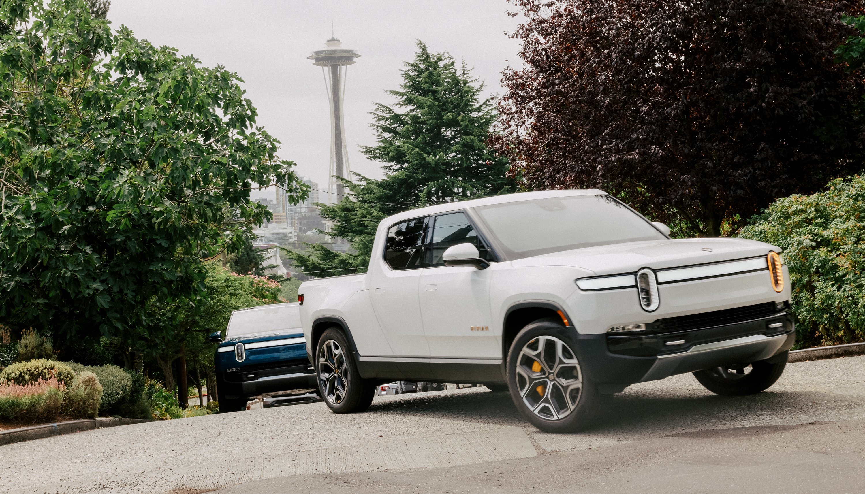 Read PUTTING DOWN ROOTS: SEATTLE by Rivian