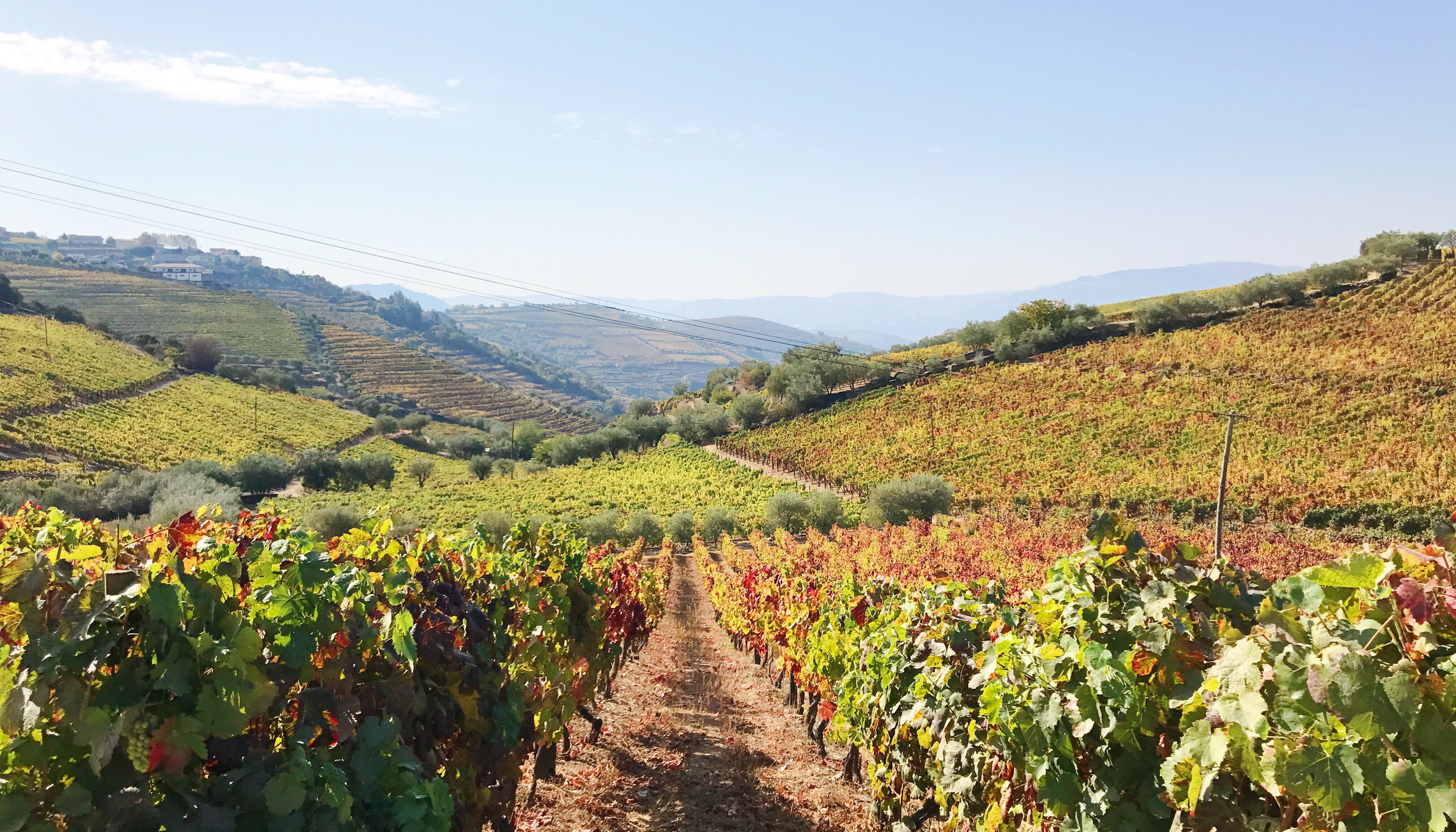 Read Douro Valley, Portugal by Ashley Rudolph