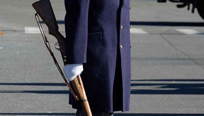 Read Veterans' Day by Matt Fahrner