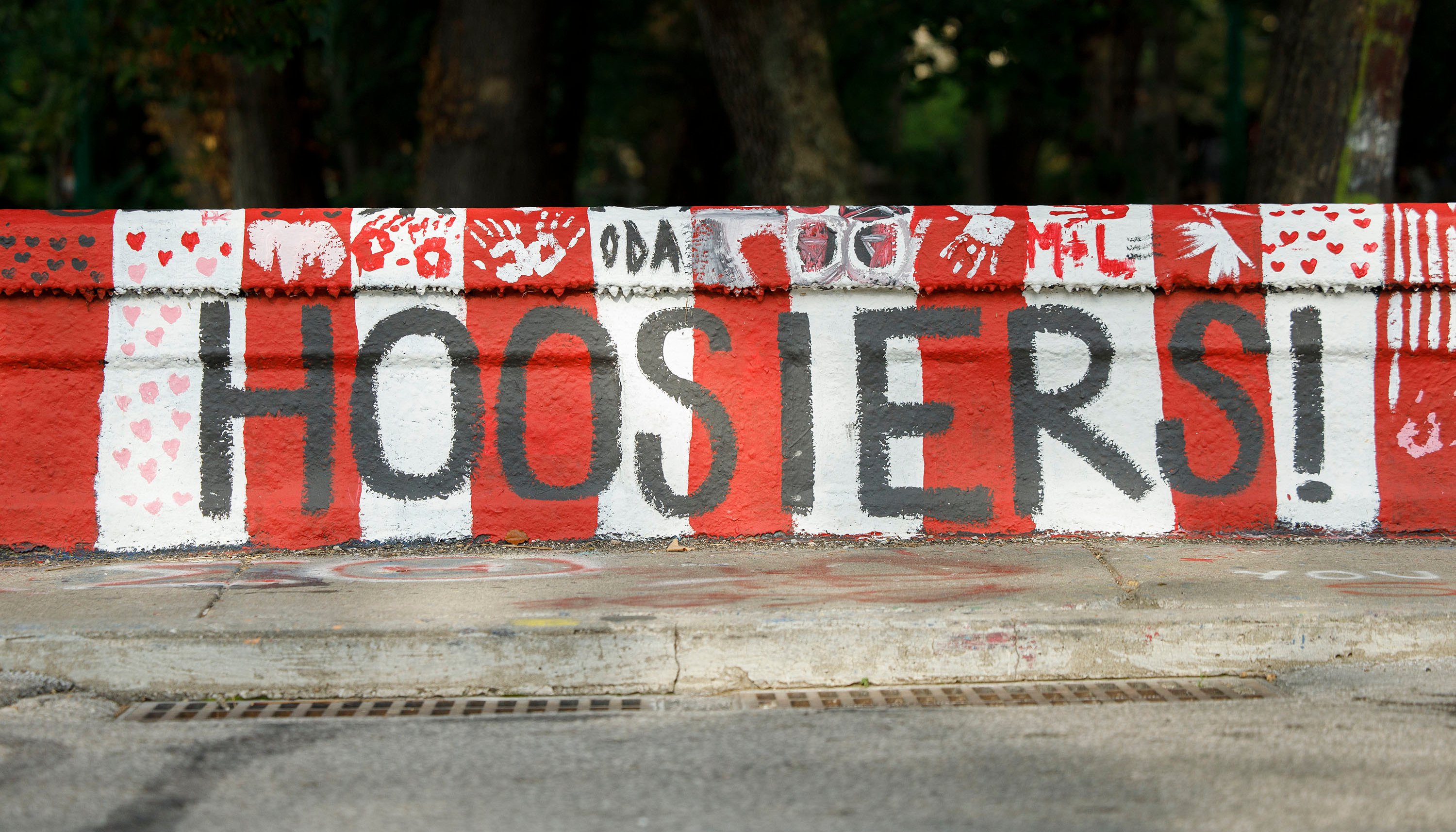 Read Welcome home Hoosiers by James Brosher