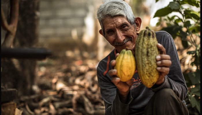 Read UNDP's Insurance and Risk Finance - 2023 Snapshot by Ceandra Faria
