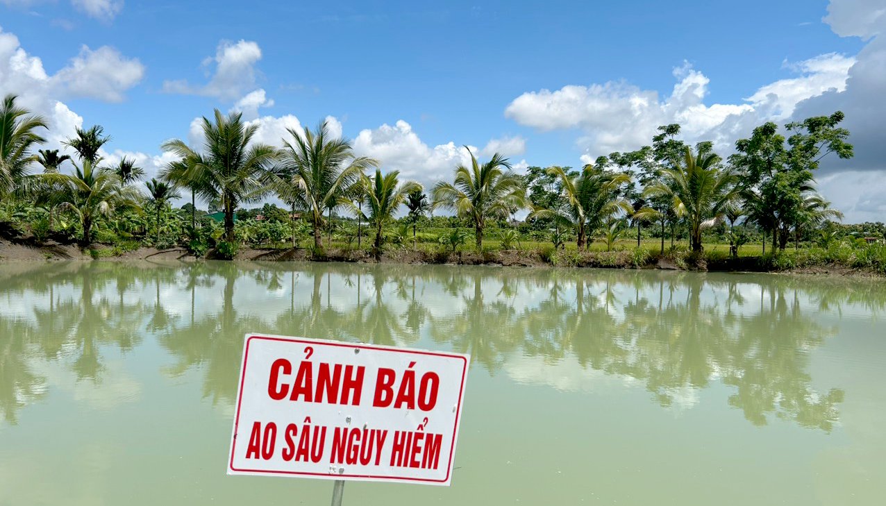 Read How climate-resilient water ponds are transforming drought-stricken farming communities in Viet Nam by UNDP Viet Nam