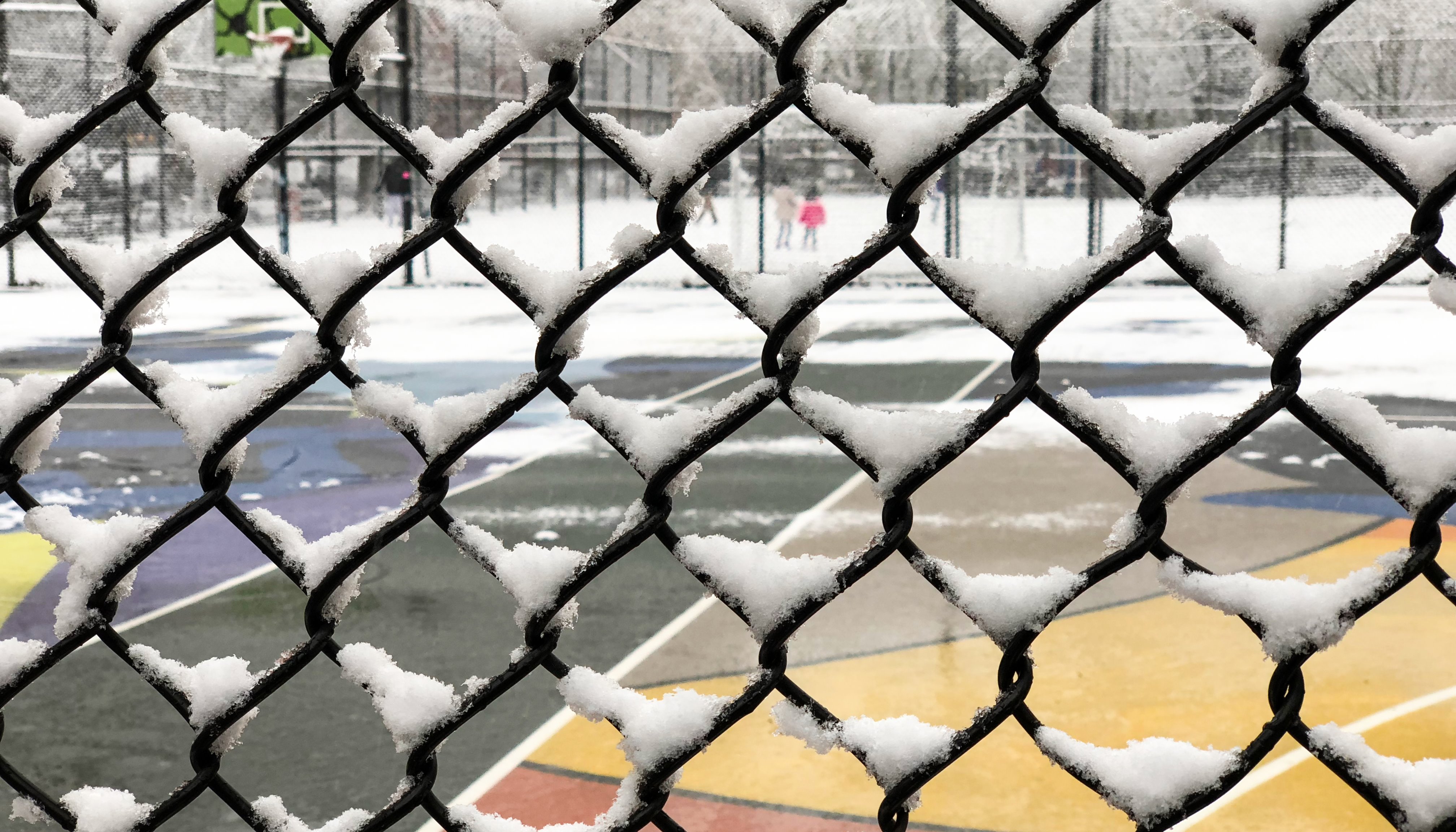 Read NYC's First Snowfall by Ash Furrow