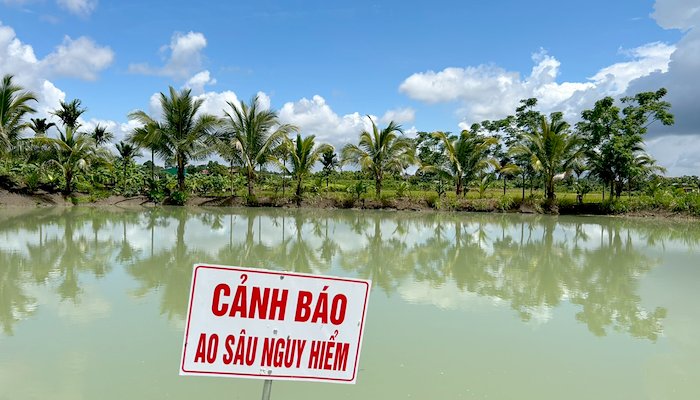 Read Ao chống chịu biến đổi khí hậu đang chuyển dịch nền nông nghiệp Việt Nam trong bối cảnh khô hạn như thế nào by UNDP Viet Nam