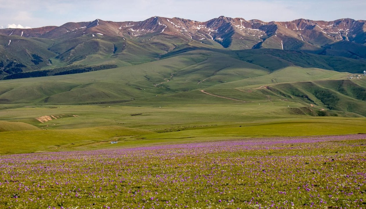 Read Walking a Sustainable Path &nbsp;&nbsp; by USAID Central Asia