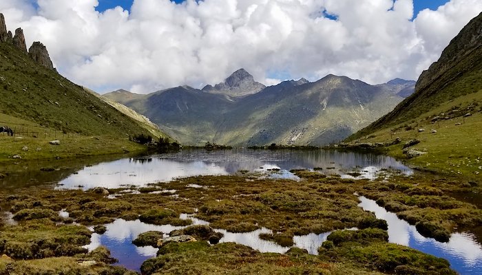 Read Nueva Realidad en los Andes by Instituto de Montaña